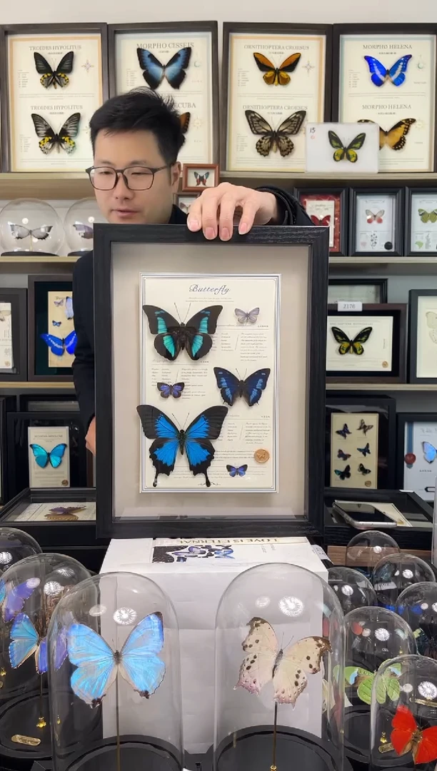 蝴蝶组合款-13寸框