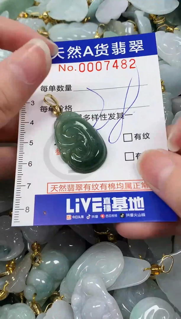 颈饰未镶嵌翡翠纯天然a货翡翠