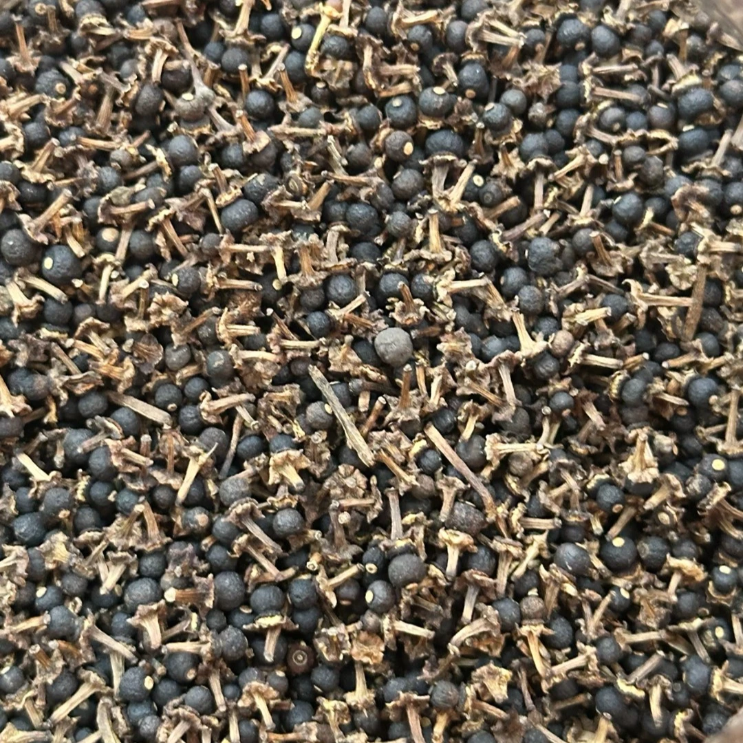 2024年梅江火柴头小小柑胎