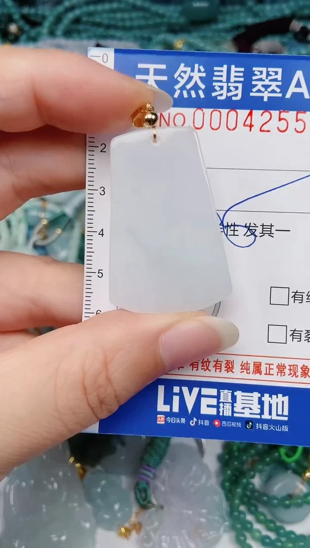 颈饰未镶嵌翡翠00004255