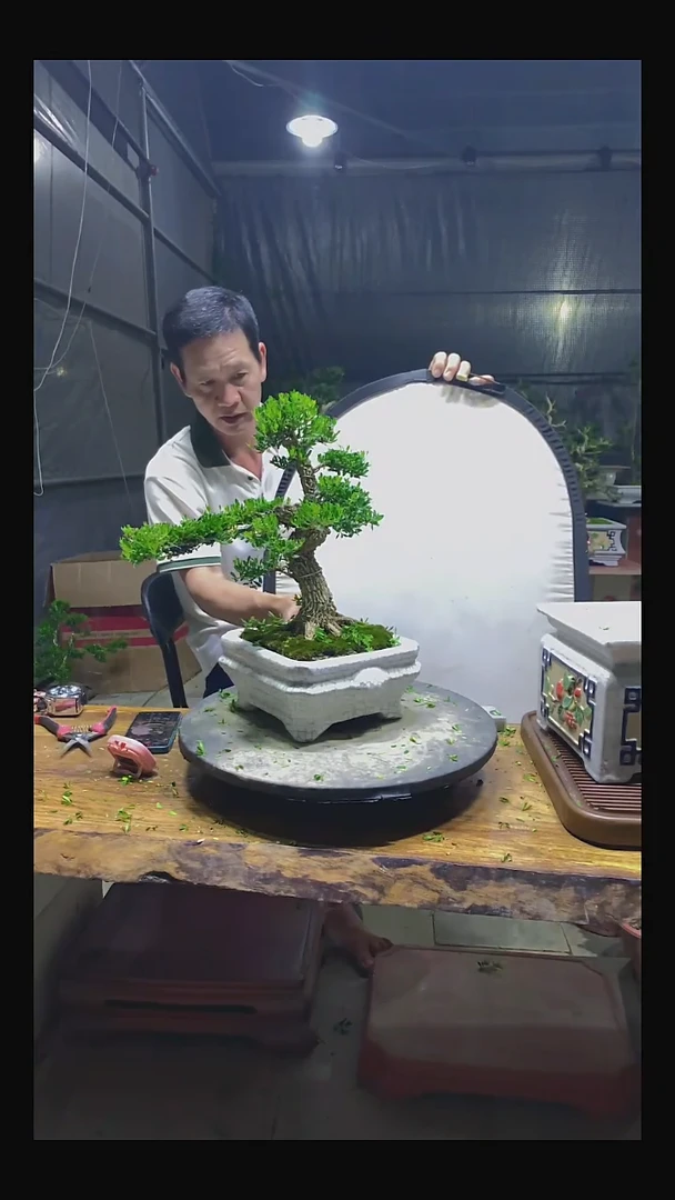 完全开放嗨***吗1111111111