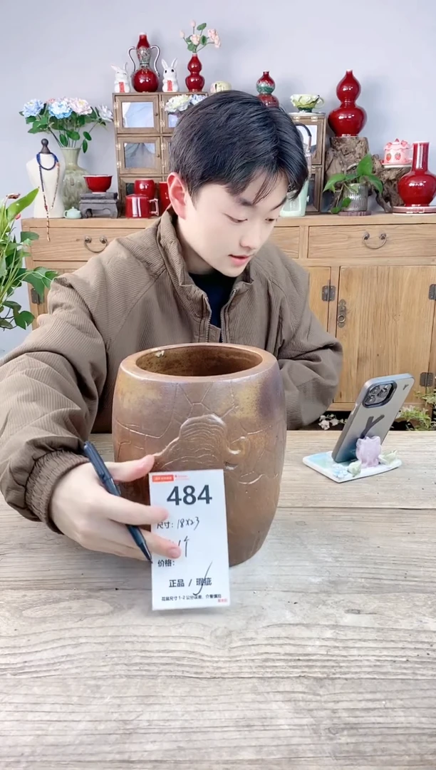 晴好园艺直播编号484