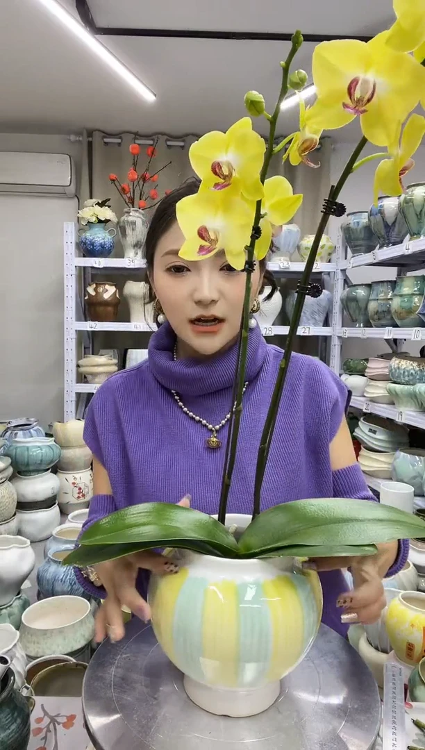 【11.12号】  直播链接 高： 15 口：10