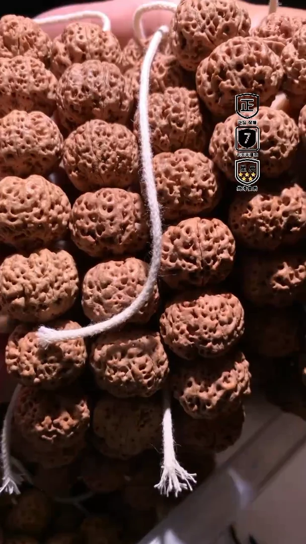 金刚菩提手串986