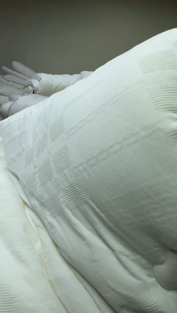 95%以上原棉水洗200*230//10斤