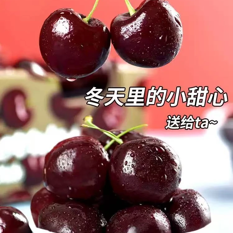 智利拉宾斯车厘子3JJJD净重5斤原箱 送货上门