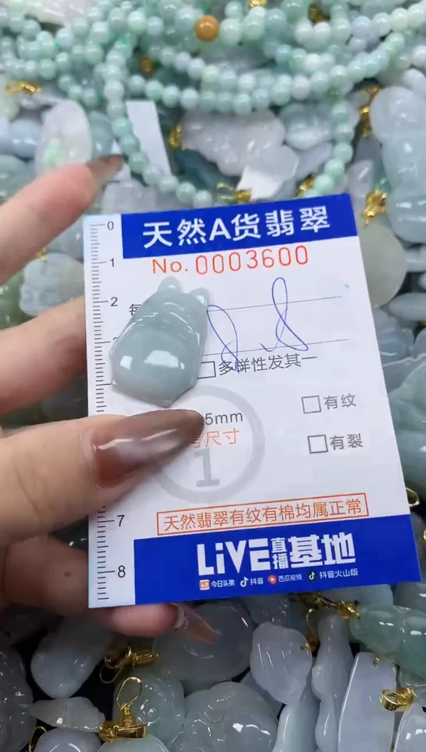翡翠未镶嵌颈饰天然A货翡翠