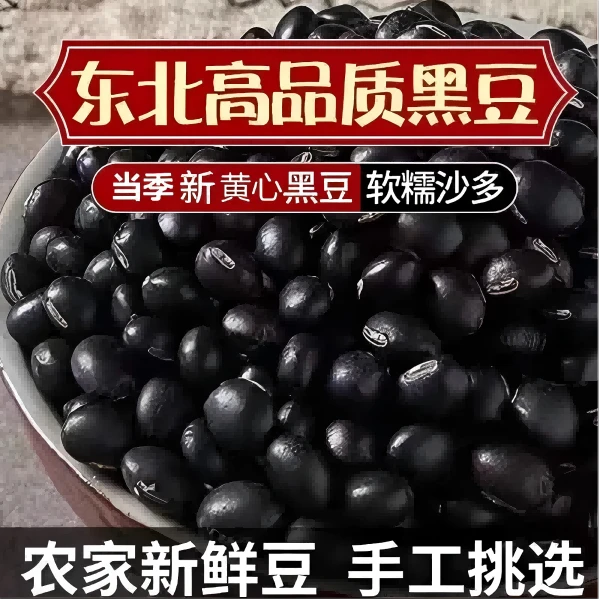 助农东北龙江黑土地农家黄芯小黑豆打豆浆专用正宗生黑豆醋泡