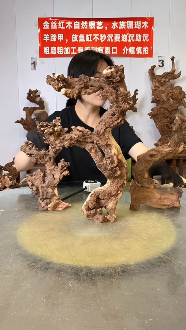 香榧木金丝红木  羊蹄甲