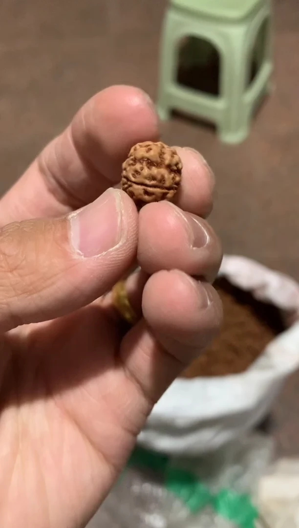 金刚菩提手串4300000000