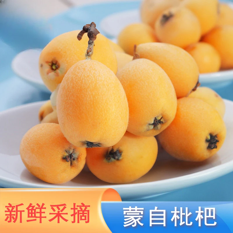 现货【顺丰快递】云南蒙自新鲜枇杷多汁现摘水果