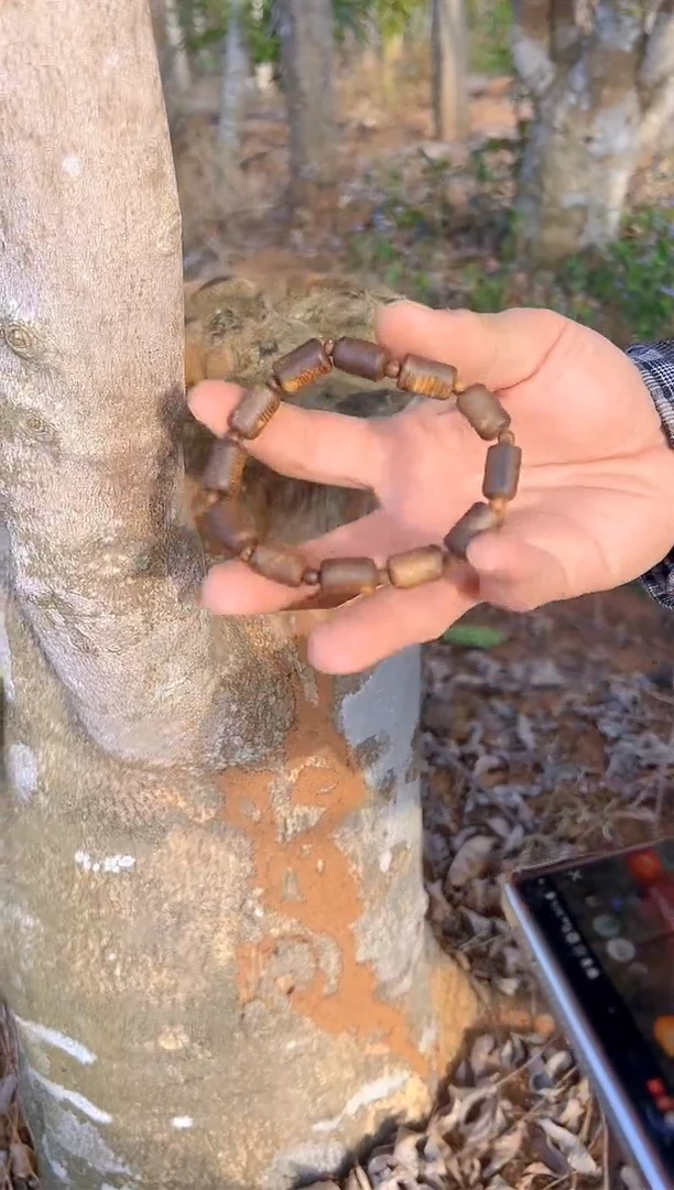 【闪购商品】沉香手串海南绿棋12x12板头多样性发一条