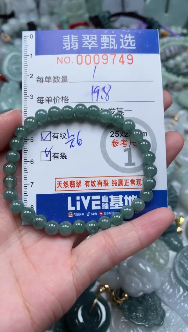 颈饰未镶嵌翡翠9749