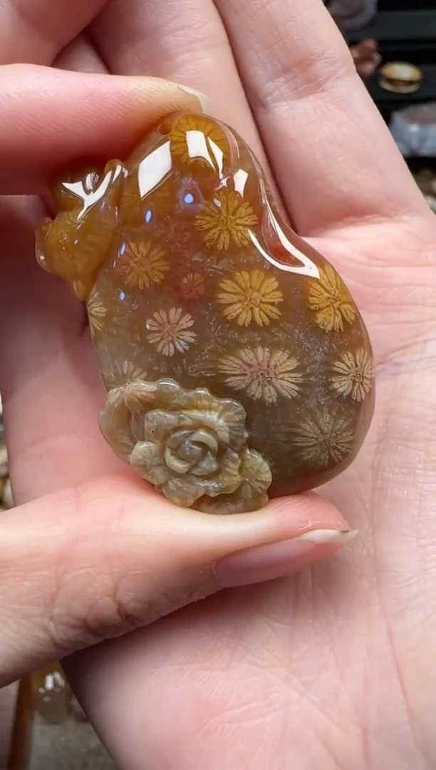 颈饰未镶嵌硅化珊瑚（珊瑚玉）337