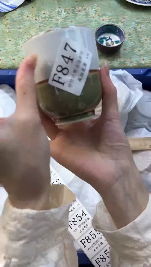 【闪购商品】瓷片          F847