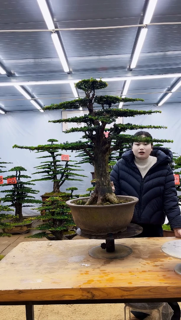 无花朵一物一拍·所见即所得