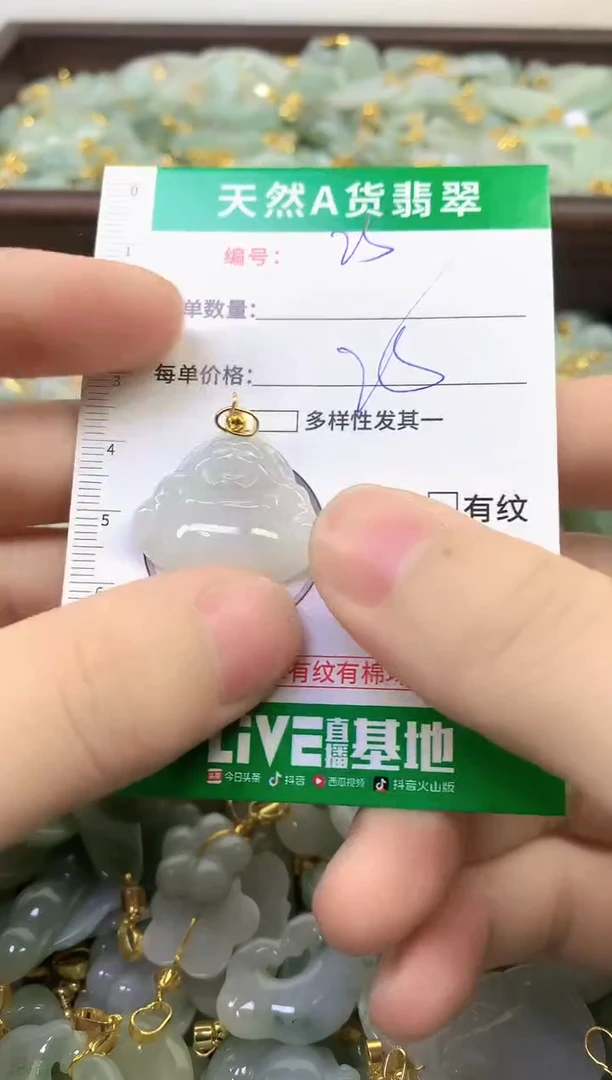 颈饰未镶嵌翡翠纯天然缅甸A货翡翠