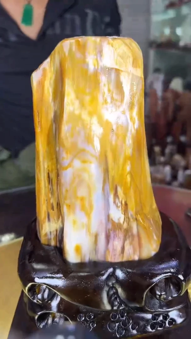 硅化玉珠宝奇石未镶嵌缅甸天然树化玉