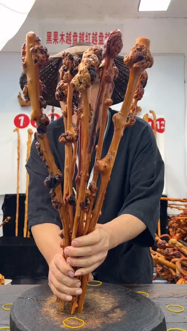 黑果木其他黑果木287