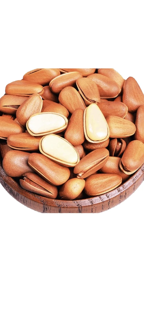 东北特大松子王，坏果包退