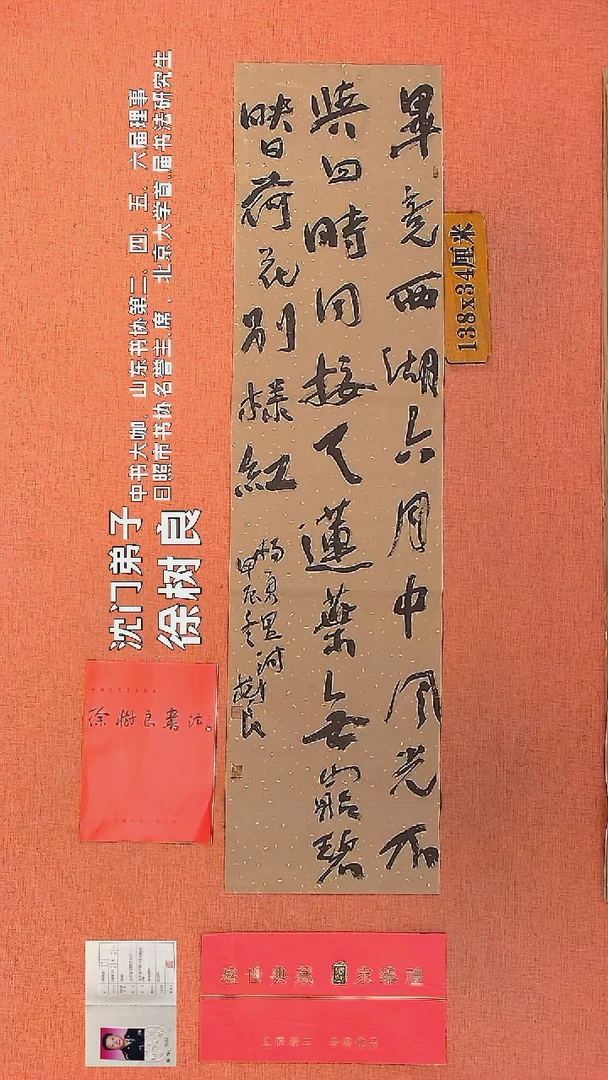 【闪购商品】书法14    徐树良书法作品