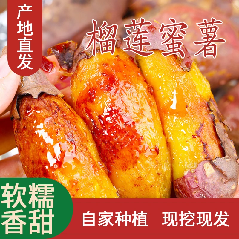 坏果包赔】榴莲蜜薯云南高山沙地香甜粉糯口感绵密榴莲味新鲜4.5斤