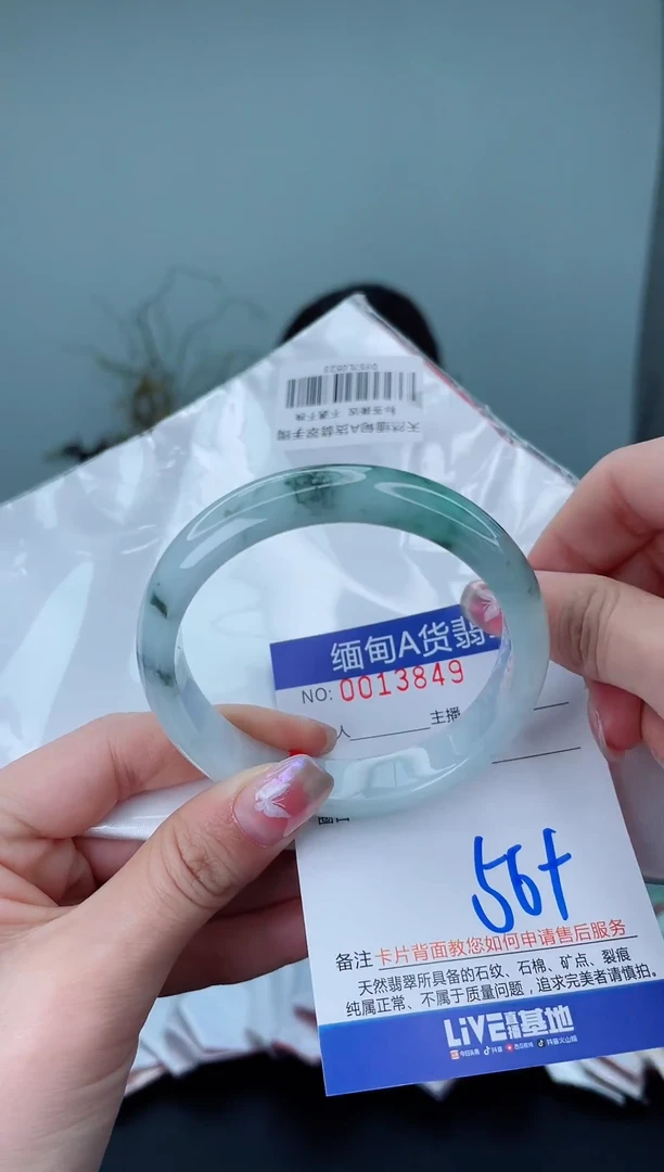 未镶嵌手镯翡翠21