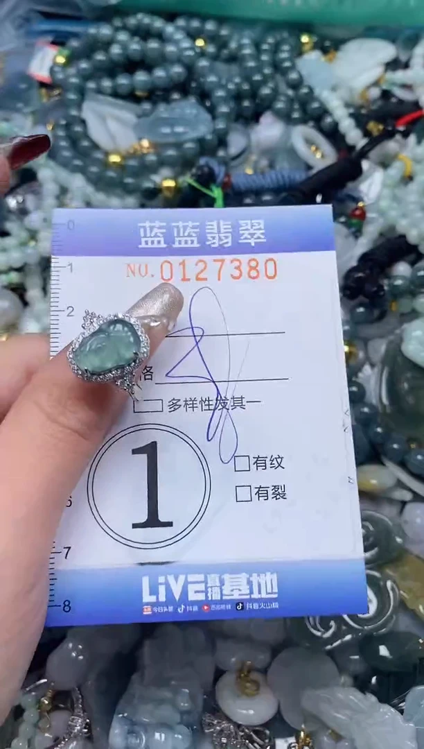 【闪购商品】翡翠颈饰未镶嵌闪购0127380