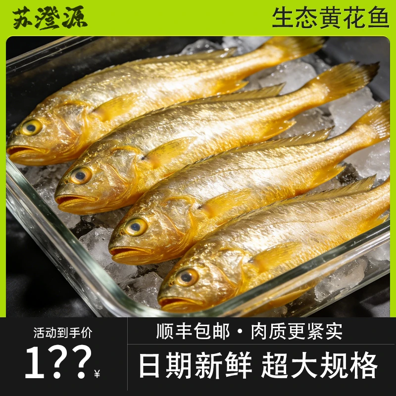 【新疆直发】特大号深海小黄鱼肉质紧实无腥味冷冻锁鲜海捕生鲜水产