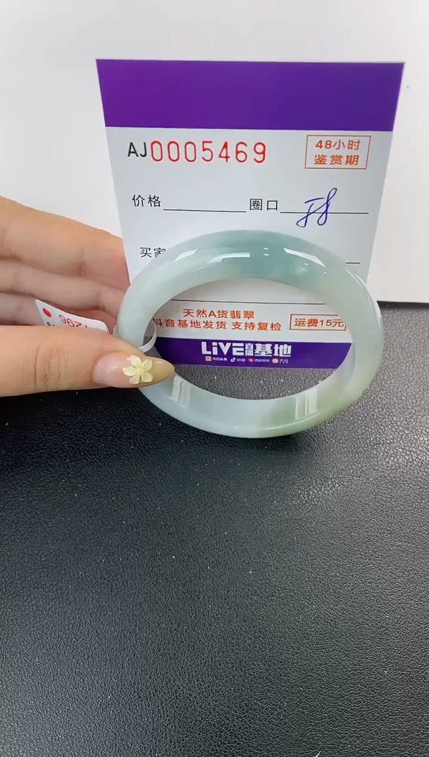 未镶嵌手镯翡翠天然A货翡翠