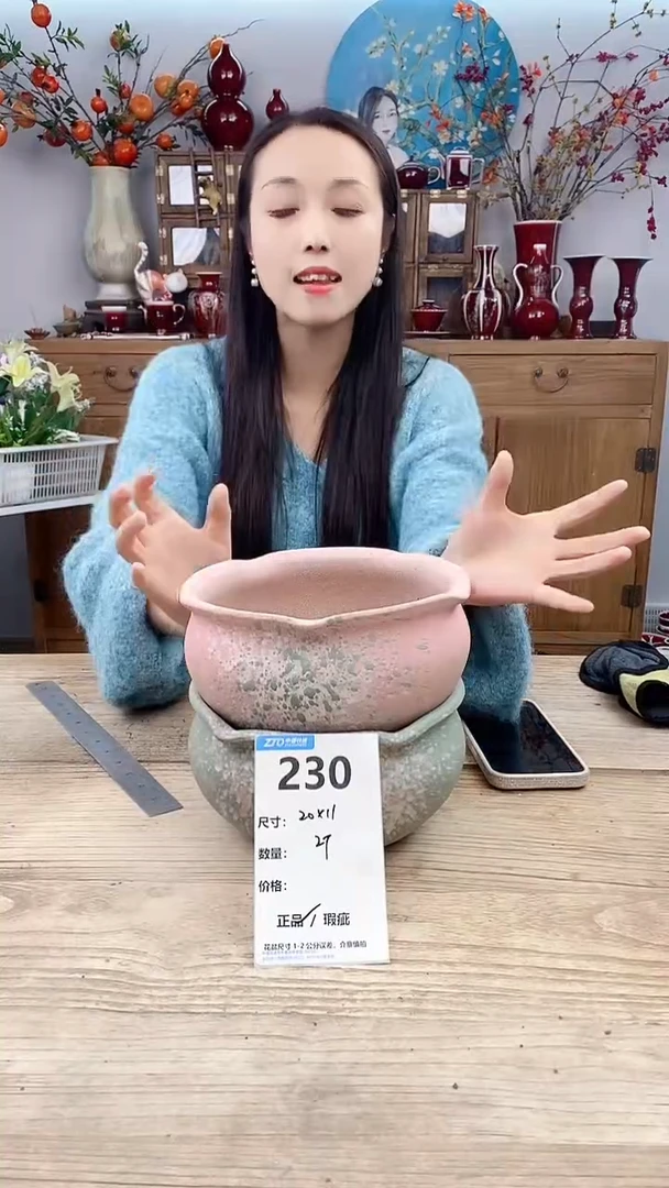 【闪购商品】红陶230