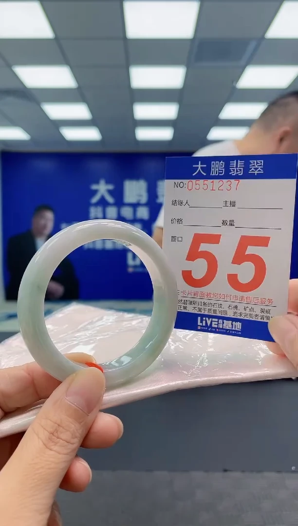 未镶嵌手镯翡翠AAAAAAAAAA