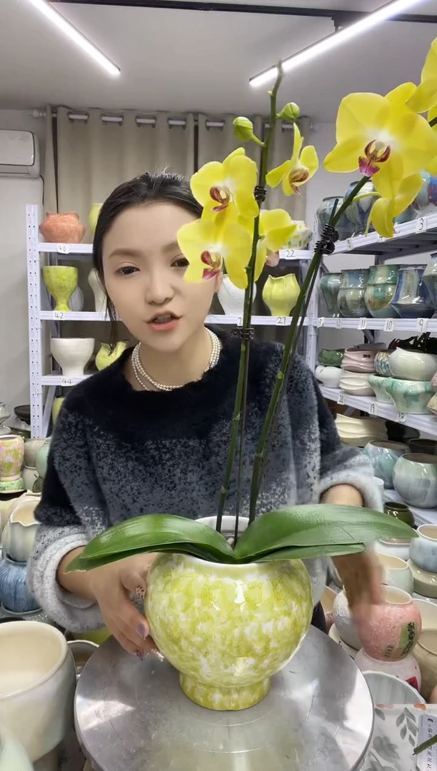 【11.15号】直播链接  高：15  口：11