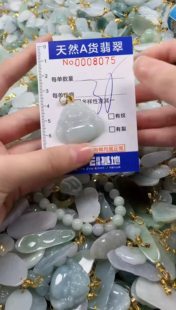 颈饰未镶嵌翡翠纯天然a货翡翠