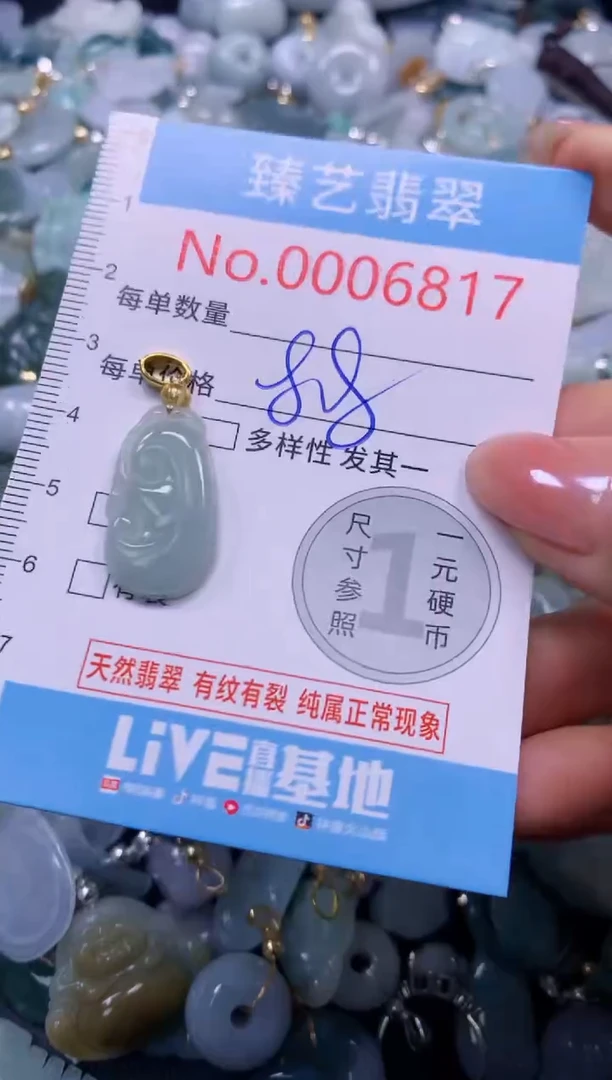 颈饰未镶嵌翡翠6817