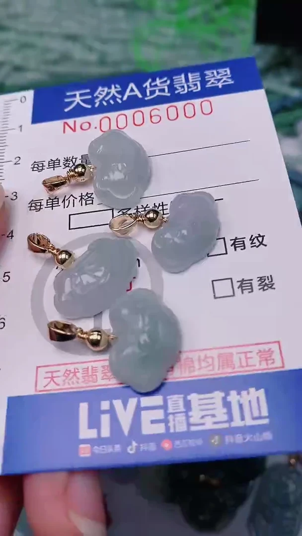 【闪购商品】翡翠颈饰未镶嵌00006000多样性发其一