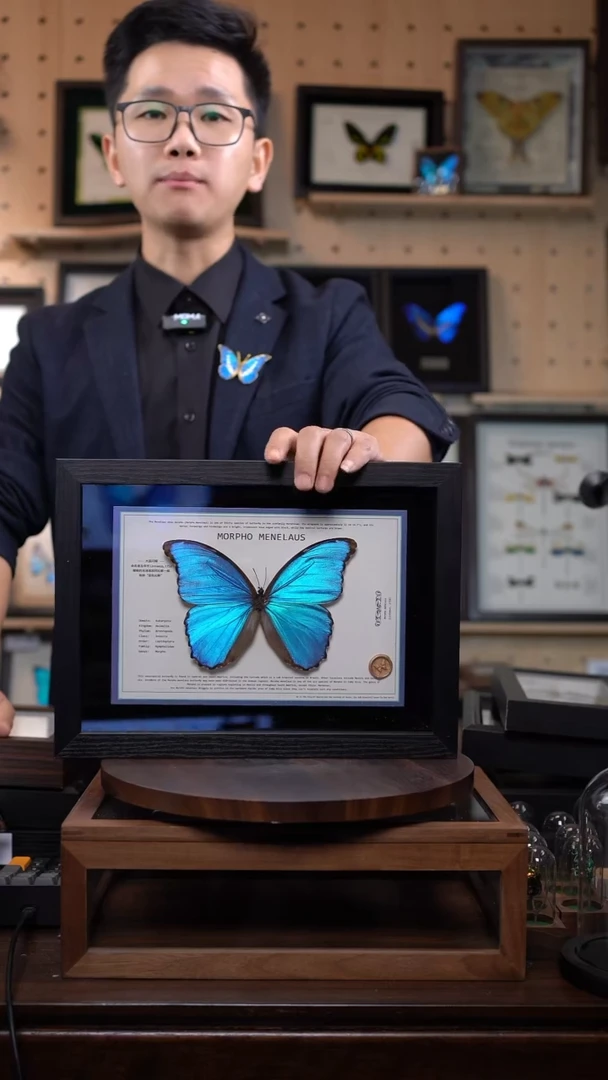 蓝闪悬浮款A4黑色平面框带证书