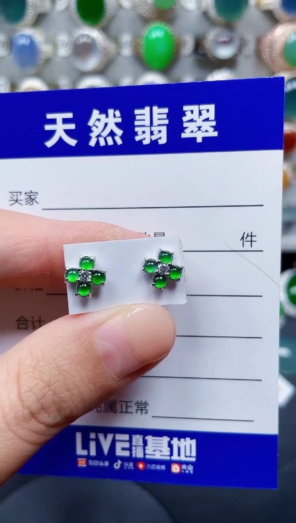 银S925镶嵌翡翠耳饰173