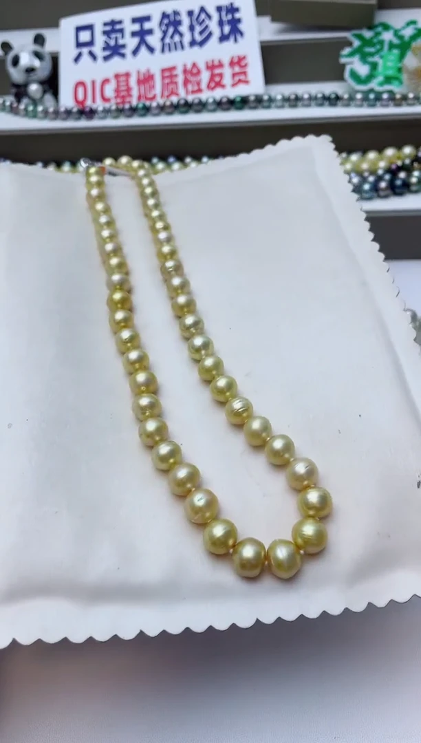 颈饰未镶嵌海水珍珠A95