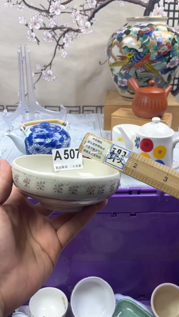 【闪购商品】1瓷片 默认微瑕介意勿拍A507