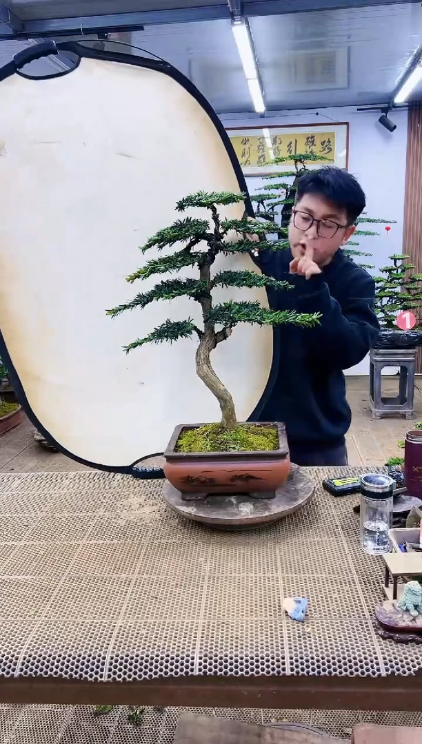 【闪购商品】一物一拍，所见即所得