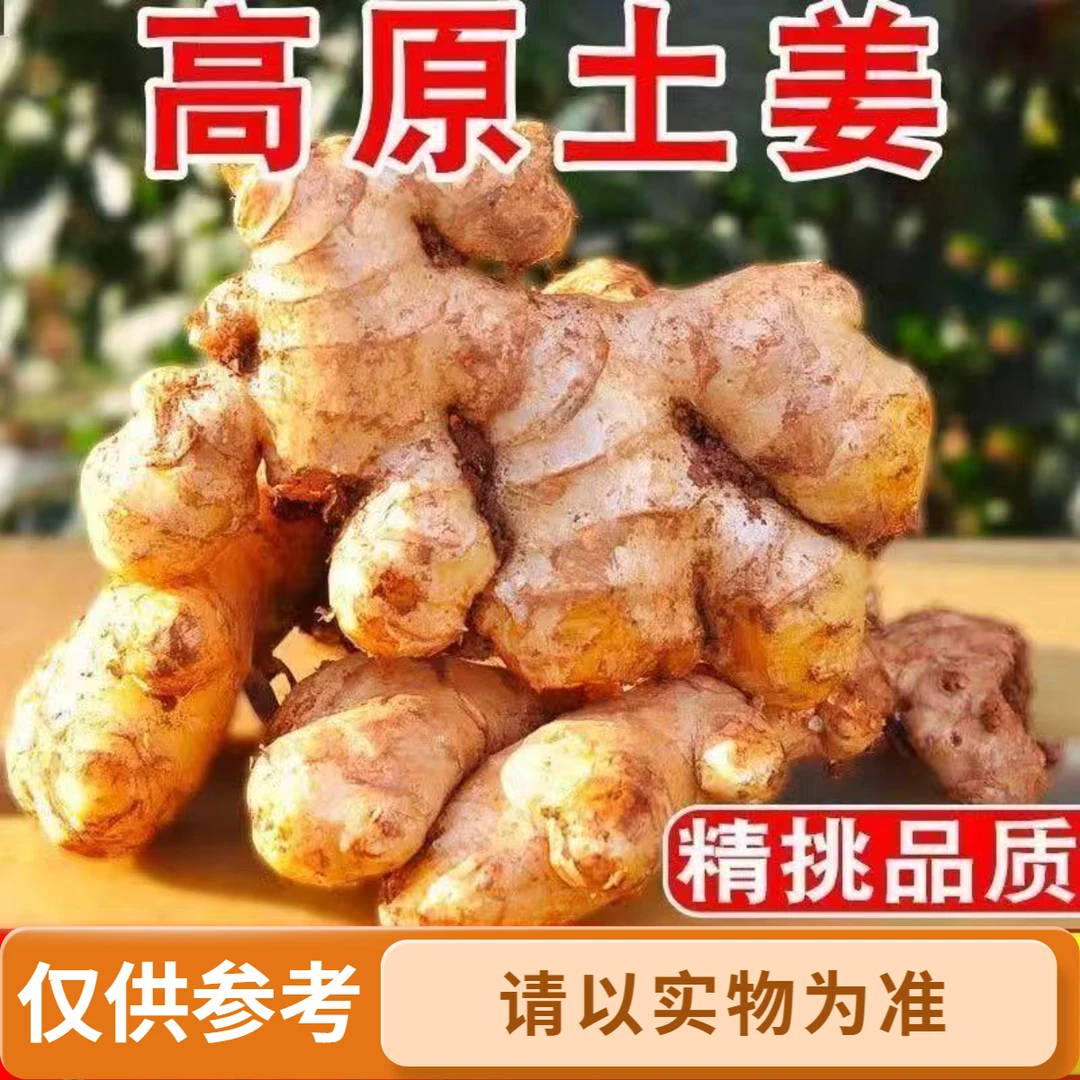 正宗贵州高山镇宁小黄姜农家自种生姜姜味浓郁原泥老姜辛辣十足