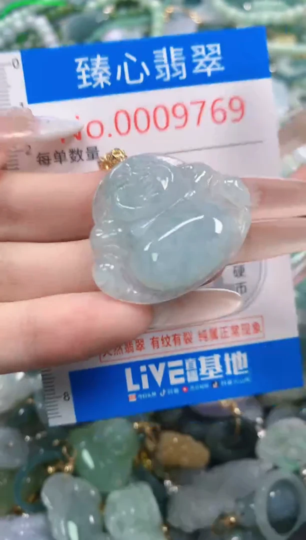 吊坠(不含链)未镶嵌翡翠9769