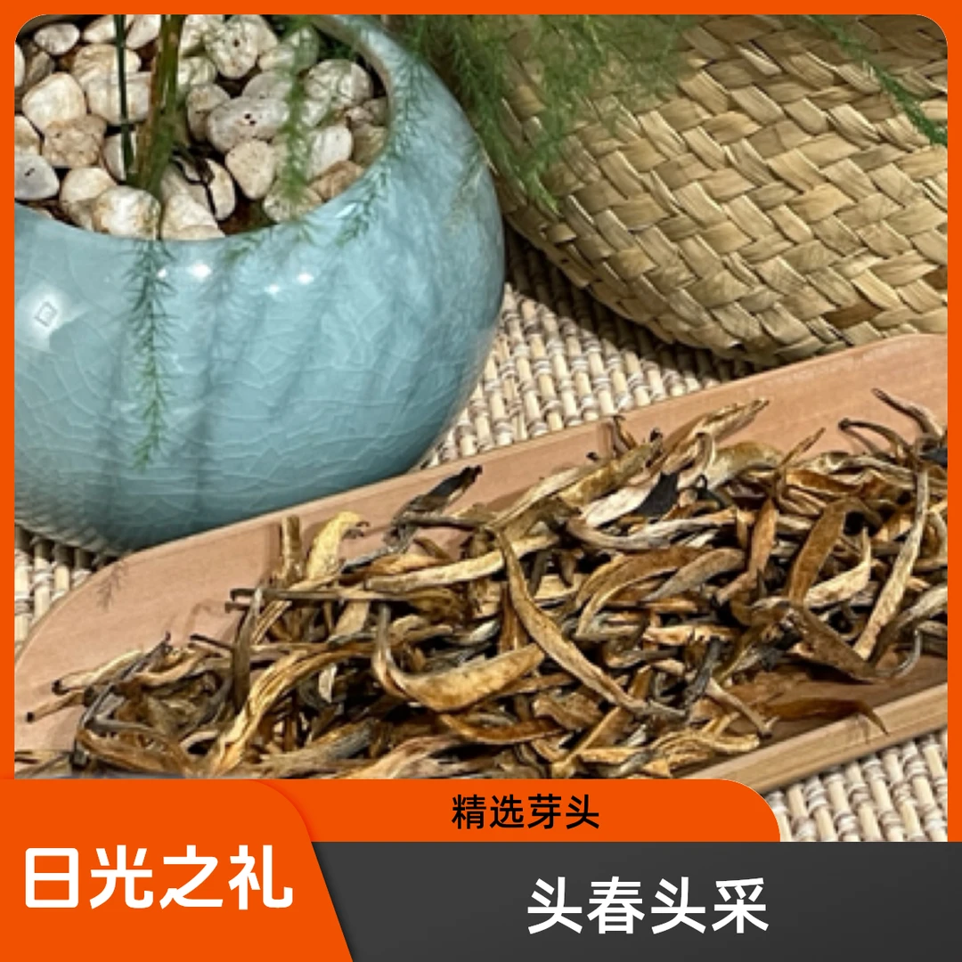【滇红大金芽】25年头春头采金毫披霞古树凝脂的日光之礼！