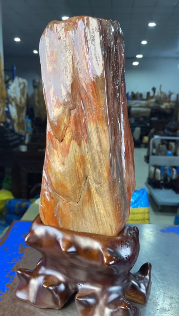 未镶嵌摆件硅化玉17