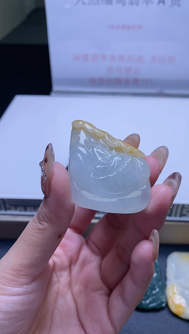 颈饰未镶嵌翡翠A23