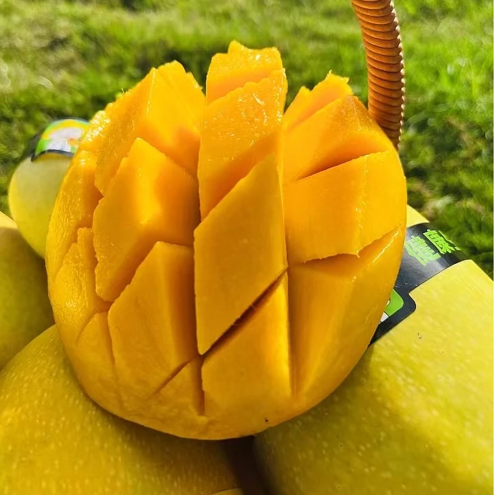 三亚金煌芒爆甜多汁新鲜现摘产地直发8斤礼盒装顺丰/京东包邮