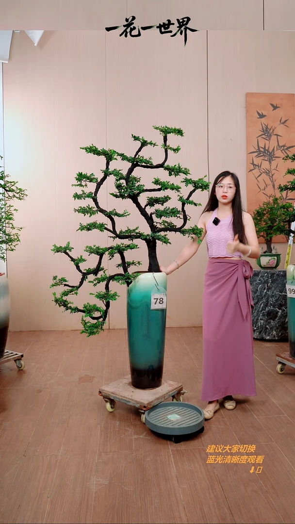 无花朵庚****滨【闪购链接】78号链接
