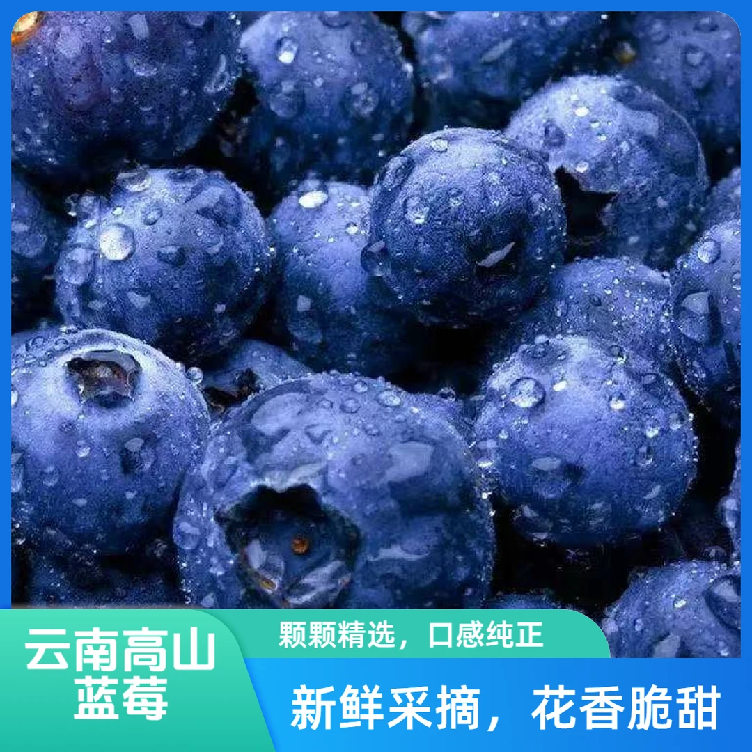 【特级花香25号蓝莓】云南高山花香蓝莓脆甜可口孕妈辅食 云南蓝莓100g 15mm-20mm云南省