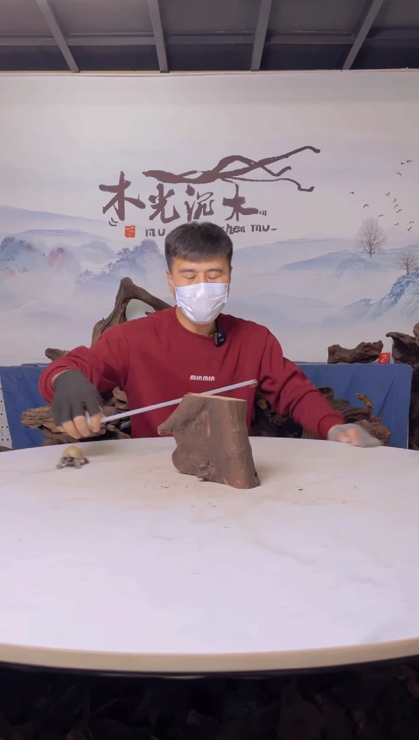 【闪购商品】a411木光沉木20/10/15